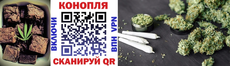 Canna-Cookies конопля  где купить наркоту  Шадринск 
