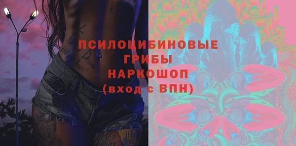 стафф Аркадак