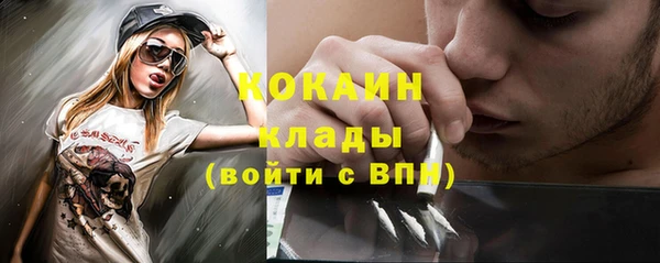 стафф Аркадак
