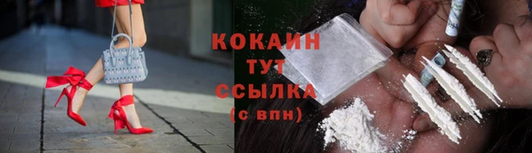 стафф Аркадак