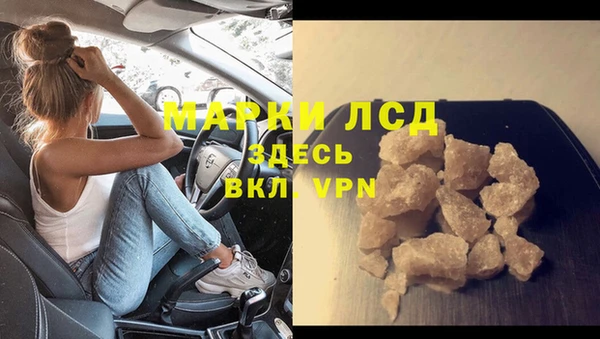 стафф Аркадак