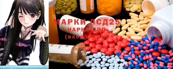 ПСИЛОЦИБИНОВЫЕ ГРИБЫ Армянск