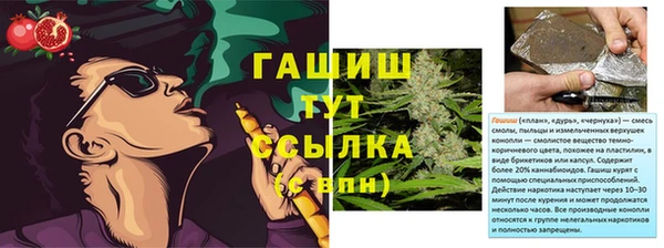 сатива Верхний Тагил
