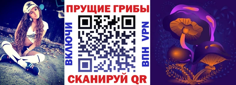 Псилоцибиновые грибы мухоморы  Шадринск 